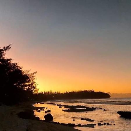 Moorea Temae Bungalow Lory Bord De Mer Екстериор снимка