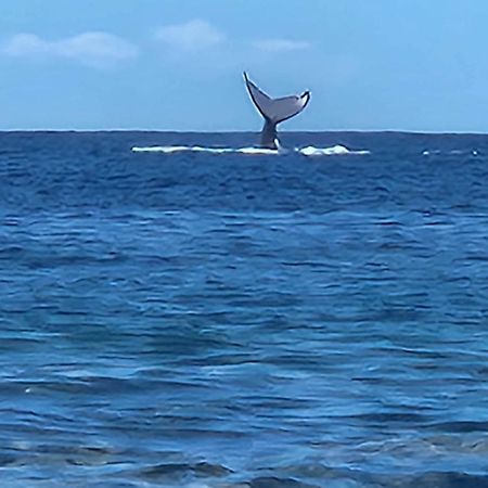 Moorea Temae Bungalow Lory Bord De Mer Екстериор снимка