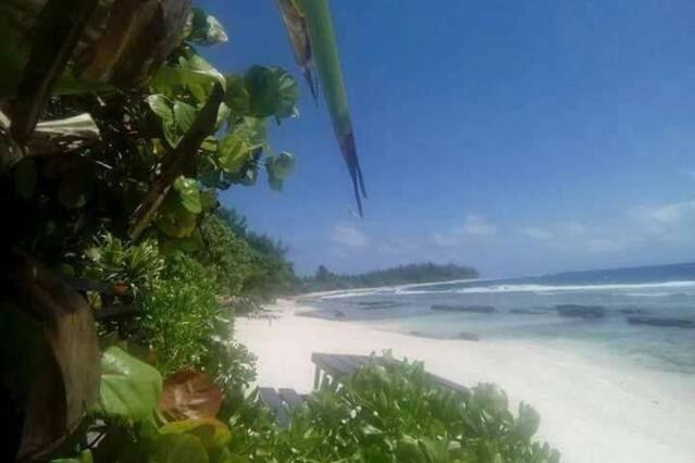Moorea Temae Bungalow Lory Bord De Mer Екстериор снимка